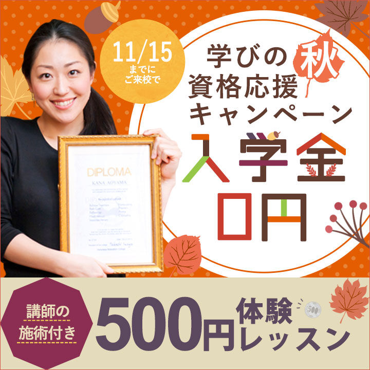《11月の入学キャンペーン🍂》